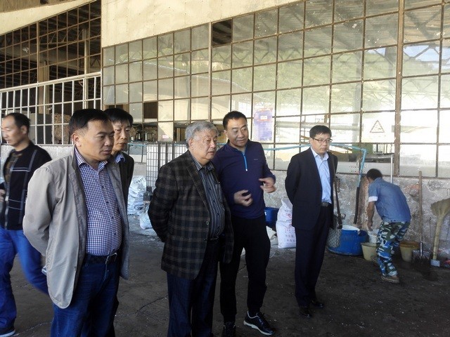 110821530701498871-gai.jpg